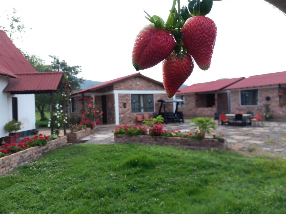 Lodge Santa Teresa